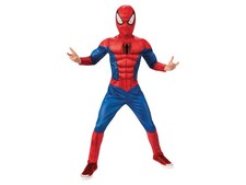 Costume Spiderman Black Line