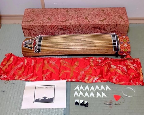 Koto arpa acustica portatile