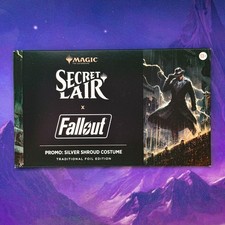 Promo Silver Shroud Costume