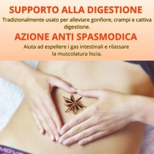 Anice stellato  BIO  1  KG