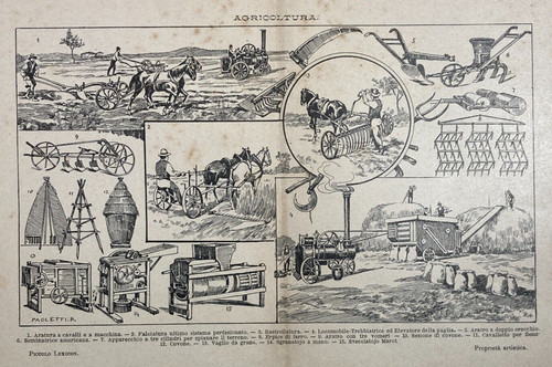 AGRARIA-AGRICOLTURA-ARATURA-TR