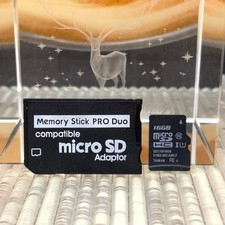 Scheda microSD