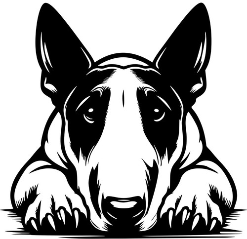Adesivo bull terrier sticker - adesivo,