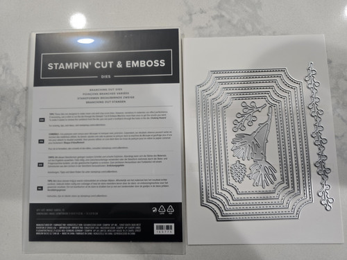 Stampin matrici - stampin', up!