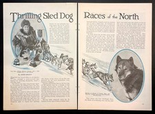 “Emozionante corsa di cani