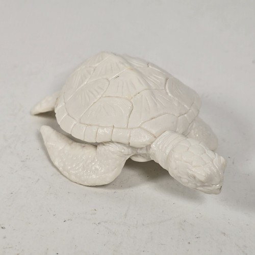 Sea turtle safari - safari, 1996