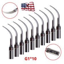 10 X Inserti Punte Per Ablatore Ultrasuoni EMS Woodpecker Scaler Manipolo G1