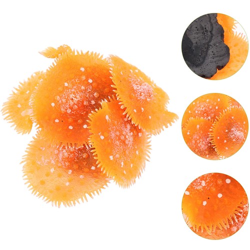 Accessori acquario ornamenti - ,