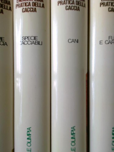 Nuovissima enciclopedia - nuovissima,