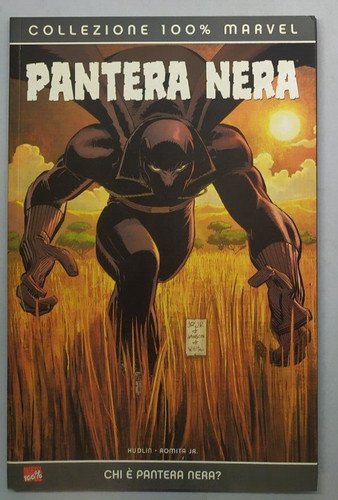 Pantera nera chi - è,