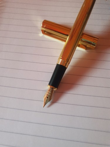 Penna stilografica vintage con - penna,