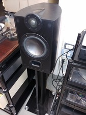 Mourdant Short - Mezzo 2 -