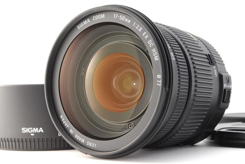 Mint hood sigma - w/hood, ]