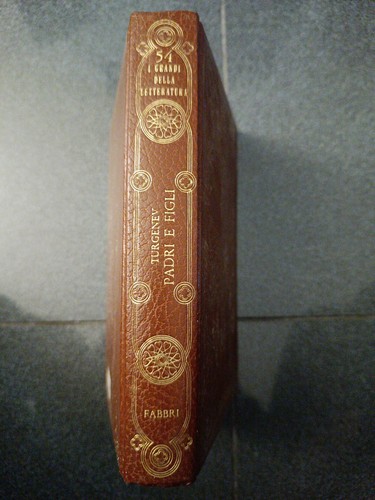 Ivan turgenev padri figli - ivan,