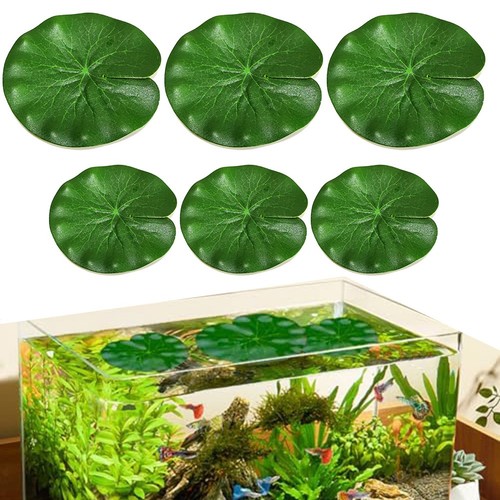 Foglie loto galleggianti - foglie,