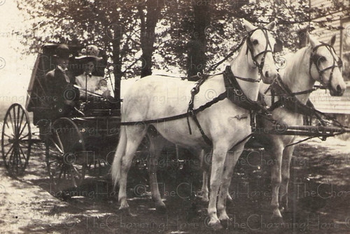 Foto epoca rppc - rppc, 1910