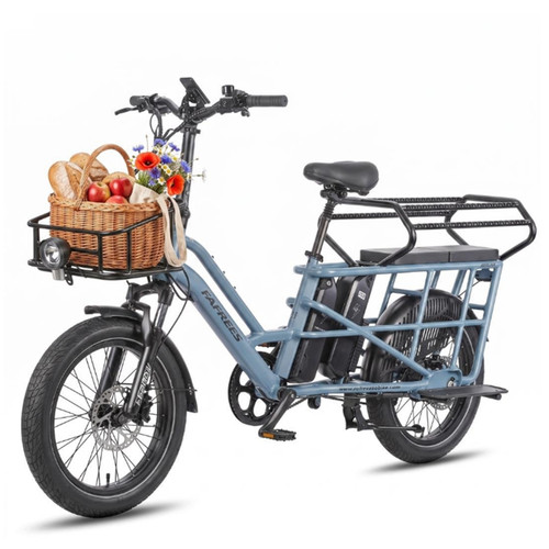 Bici elettrica cargo - , 20