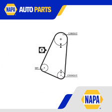 Cinghia distribuzione adatta