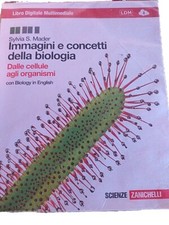 immagini e concetti della