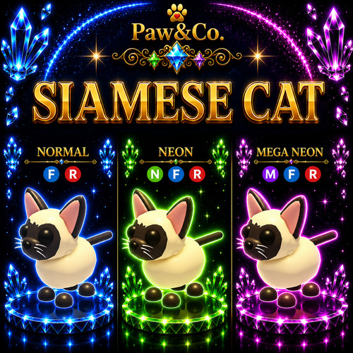 Gatto siamese - , fr