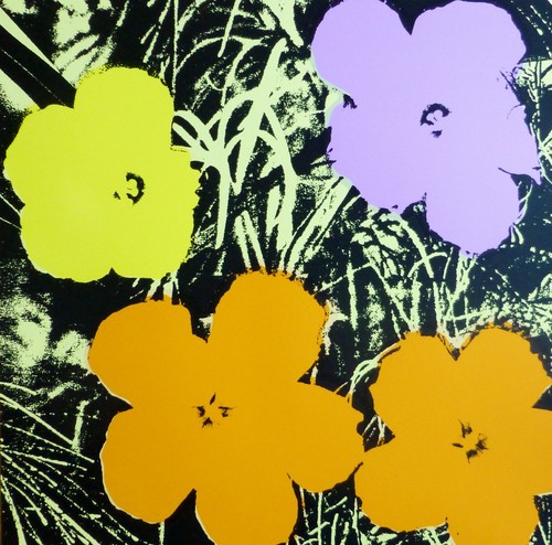 Andy warhol poppy flowers - poppy,