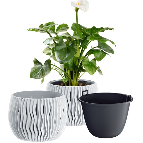 Vaso fiori con - fiori,