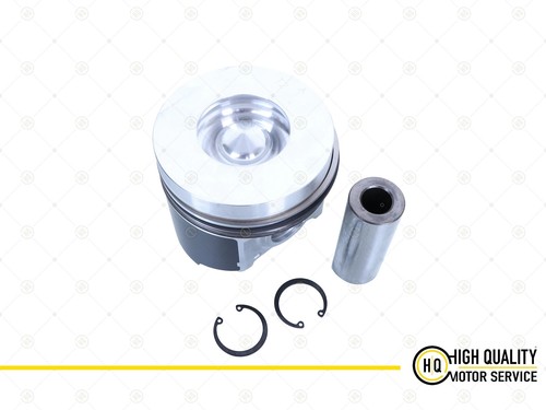 Piston with ring std - std, for