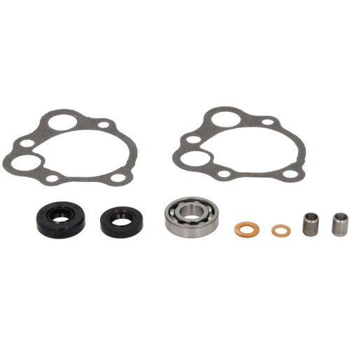 Kit pompa acqua - , compatibile