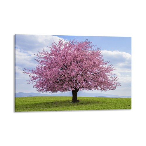 Quadro stampa tela - tela, con