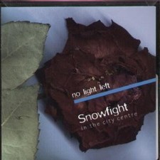 Snowfight In the City Centre