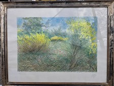 FRANCO AZZINARI litografia