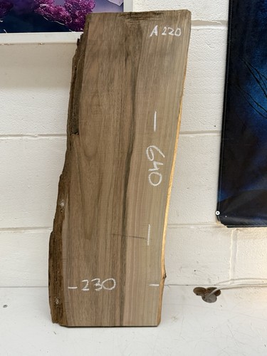 Legno massello noce - legno, di