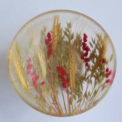 Piatto ciotola resina lucite