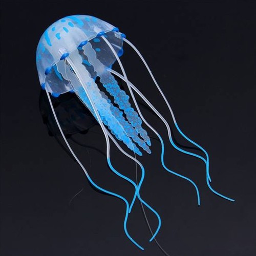 Medusa finta color blu blue - medusa,