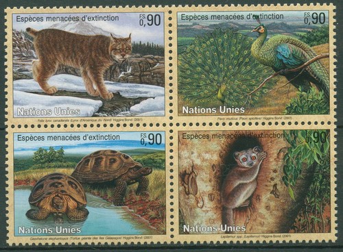 Onu ginevra 2001 animali - onu, in