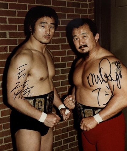 Wrestling superstars mr - superstars,