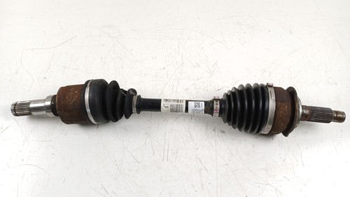 71746603 semialbero ant - semialbero,