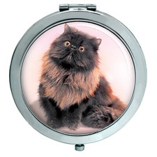 Gatto Persiano Nero Specchio