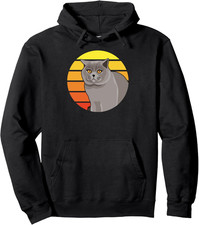 Gatto British Shorthair -