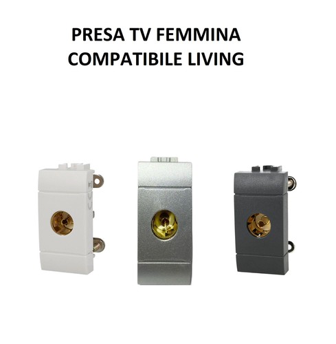 Presa spina connettore - tv,