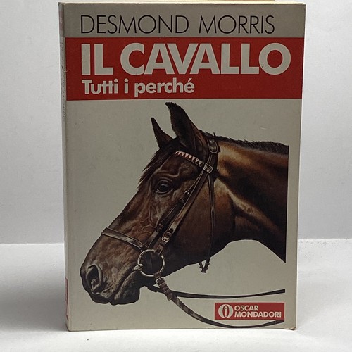 Cavallo tutti perchè - il,