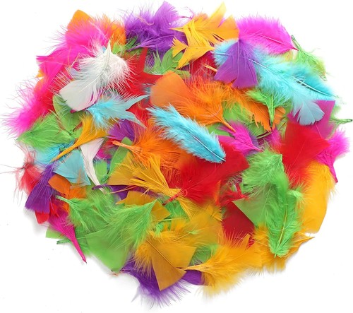 Trixes 250 piume colorate per - colorate,