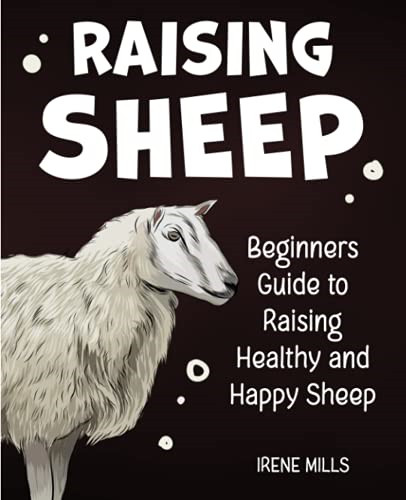 Raising sheep beginners guide - raising,