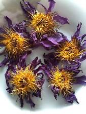  Loto blu essiccato fiori