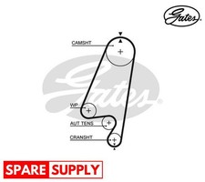 Cinghia distribuzione per