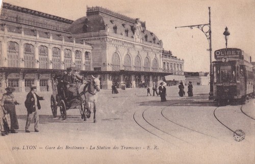Carte postale postcard - 🦬carte,