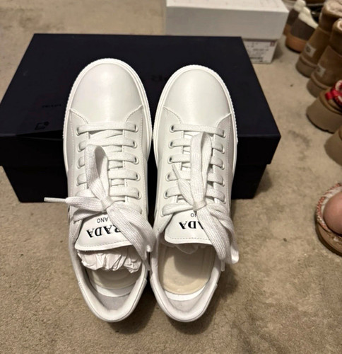 Prada sneaker donna basse