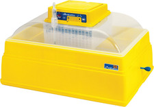 Novital Covatutto 54, Incubatrice Manuale Adatta a Tutte Le Uova