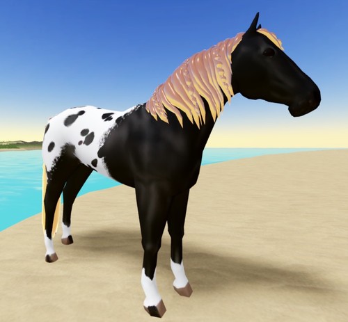 Wild horse islands - wild, iuh