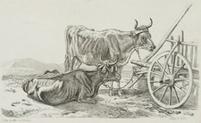 J. KLEIN (1792-1875), Le due mucche al carro, 1834, acquaforte romantica